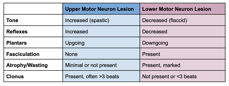 Physical Exam Findings: Upper vs Lower Motor Neuron Lesions